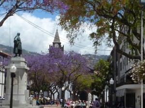 Crucero en el Norwegian Spirit. Funchal Jacarandás