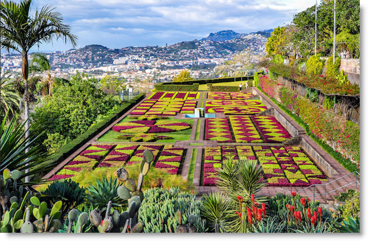 Crucero Islas Canarias y Funchal_Funchal